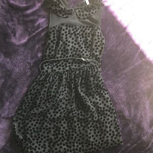Cute little black dress with velvet polka dots.